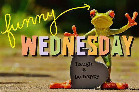 75 Funny Wednesday Quotes For A Great Midweek Vibe Transitions And
