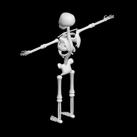 Low Poly Skeleton Low Poly Poly Human Skeleton