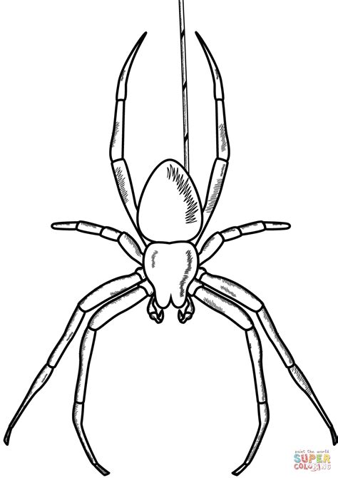 Spider coloring page | Free Printable Coloring Pages