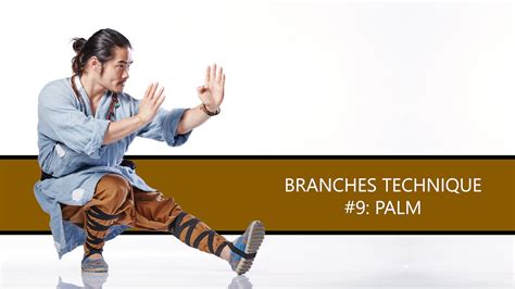 branches technique 9 palm tree of shaolin kung fu with shaolin monk wang bo martial arts