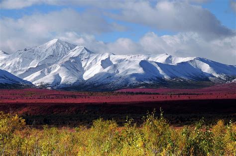 Autumn On The Taiga Denali National Photograph By Michel Hersen Pixels