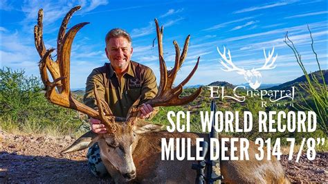 Sci World Record Mule Deer 314 78 Youtube