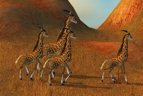 Giraffe Npc World Of Warcraft