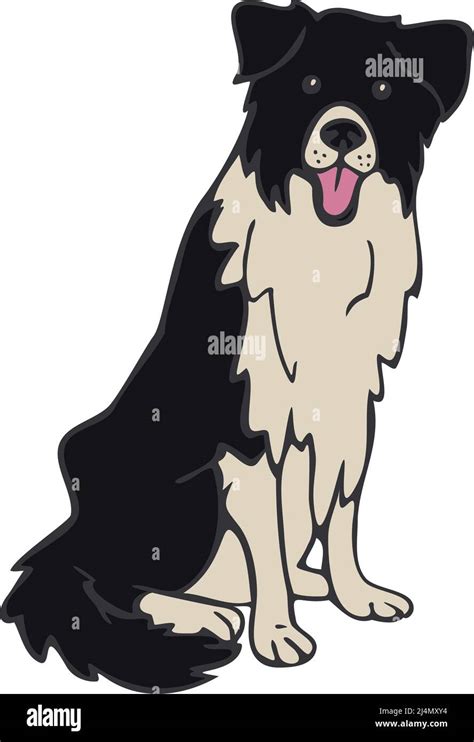 Vector Illustration Of Border Collie Hand Drawn Dog Stock Vector Image