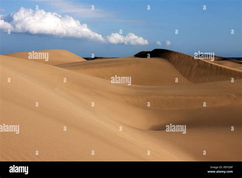 Dune Landscape Dunes Of Maspalomas Dunas De Maspalomas Cloud