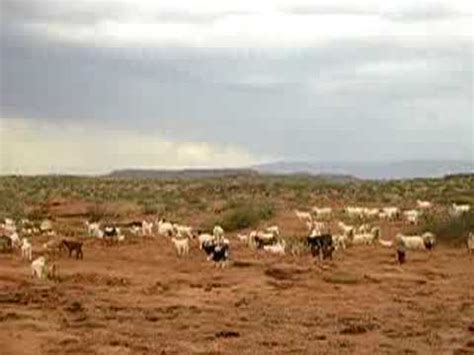 Aguada san roque es una localidad y comisión de fomento del departamento añelo, provincia de neuquén, argentina. Paisaje de Aguada San Roque, Neuquén - YouTube