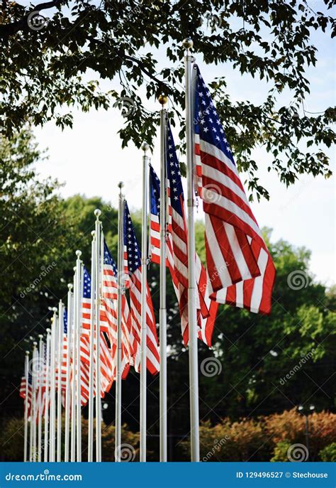 A Park In Berea Ohio Displays Multiple American Flags On Silver Poles
