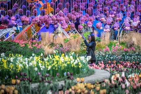 Philadelphia Flower Show To Be Held Outside In 2021 The Breslow Buzz