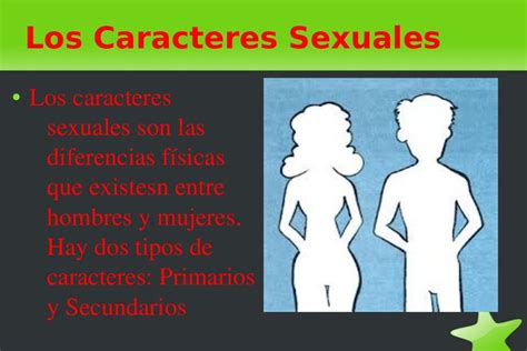 Ejemplos De Caracteres Sexuales Secundarios Kulturaupice
