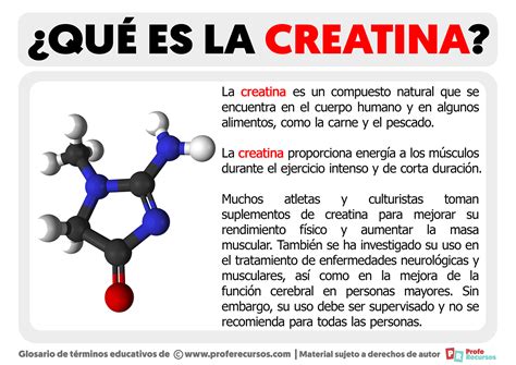 Qué Es La Creatina Definición De Creatina