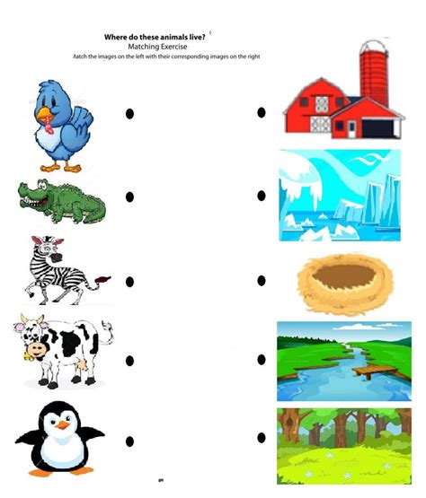 Matching Animals To Their Home Worksheet Crafts And Worksheets For