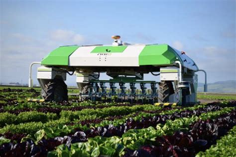 The Robot Is Ready For The Conquest Of The Agricultural Sector