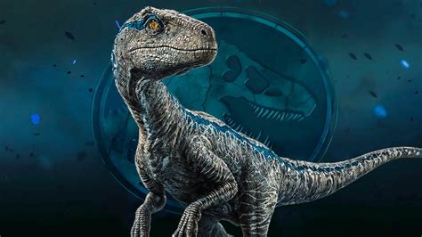 Free Download Jurassic World Velociraptor Blue Wallpaper By Dremuler