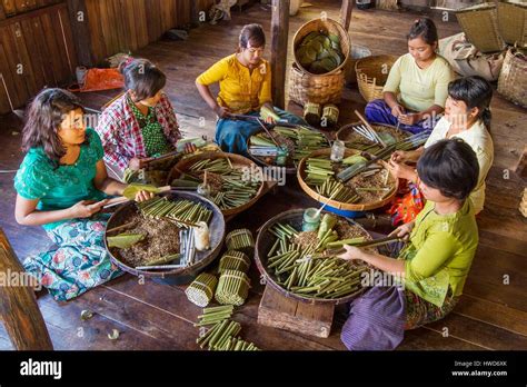Myanmar Burma Shan District Inle Lake Inthas Girls Making Cheroots