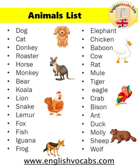 All Animals Name List From A To Z English Vocabs