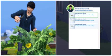 The Sims 4 How To Graft Plants