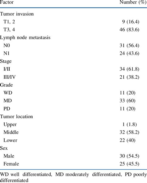 Clinicopathological Features Of 55 Patients Download Table