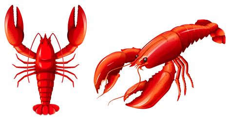 Set Of Red Lobster 299403 Vector Art At Vecteezy