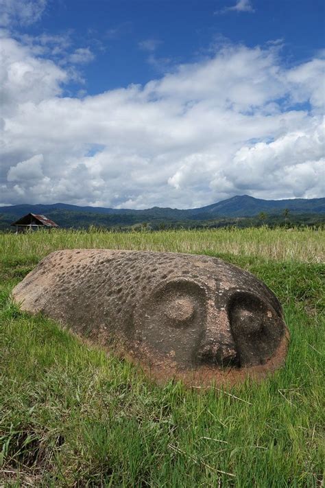 Lore Lindu National Park Bada Valley Megaliths In Sulawesi Indonesia National Parks