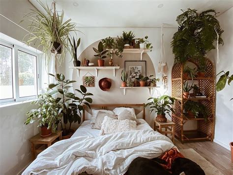 127k Likes 63 Comments House Of Plant Lovers Hopl 🌿