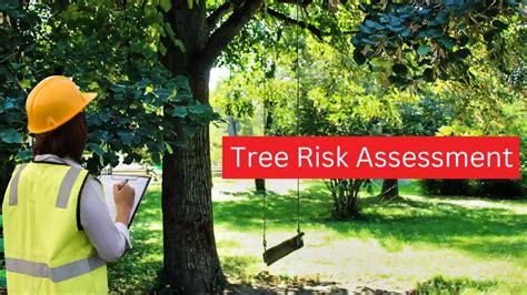 Tree Risk Assessment Traq Hire Isa Certified Arborists