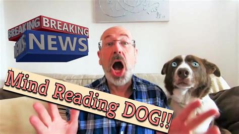 My Dog Can Read Your Mind Youtube
