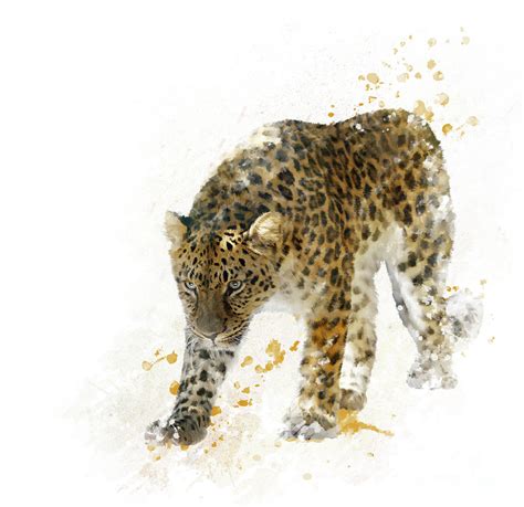Digital Painting Of Leopard Digital Art By Svetlana Foote