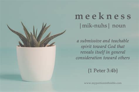 The Lost Fruit Of Meekness My Portion In This Life