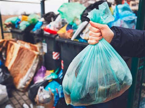 Residuos sólidos urbanos qué son y cómo reciclarlos Horacio Guerra