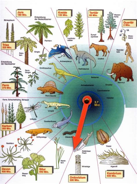 Zeituhr - geologische Zeitalter (Erdgeschichte ... Kurzer streifzug durch die kurze und knappe übersicht über die eckpunkte der französischen revolution.