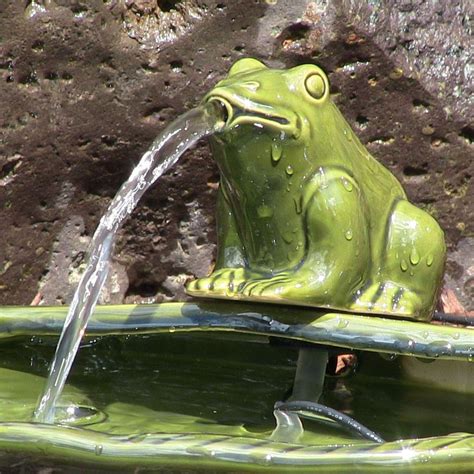 Photo Gallery Of The Frog Water Fountain Outdoor