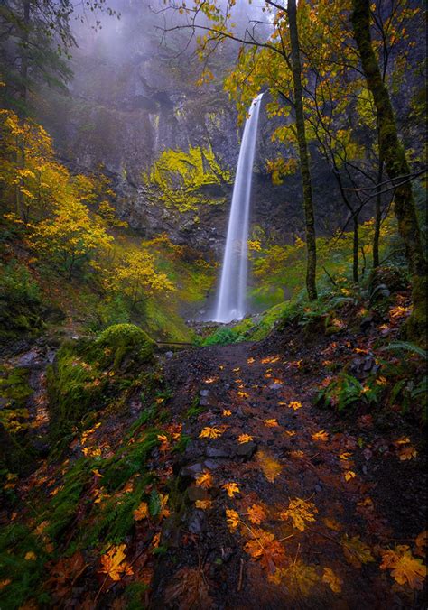 Foliage Fall Columbia River Gorge Oregon Photo By Greg Boratyn