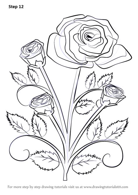 Hand drawn roses shopleatherworks com. Learn How to Draw a Rose Plant (Rose) Step by Step ...