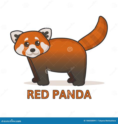 Cute Red Panda Flat Vector Illustration With Outline Isolated On