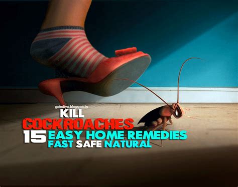 15 Easy Home Remedies To Get Rid Of Cockroaches Fast And Naturally Part 2 Natural Home