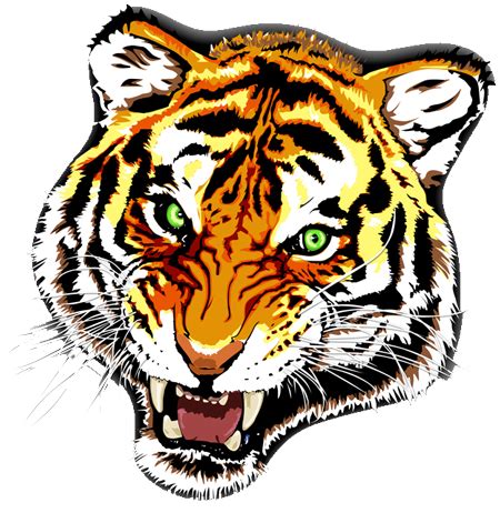 Tiger Tattoos PNG Transparent Images PNG All