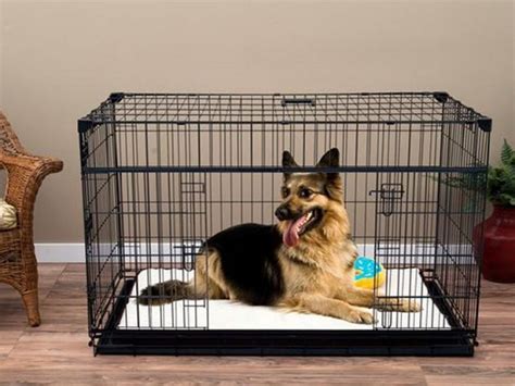 6 Best Crate Cage For German Shepherd For Home Car And More