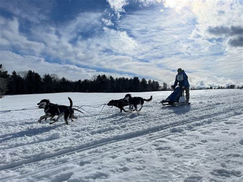 Climate Change Ruins The World Championship Sled Dog Derby
