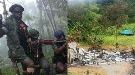 Kkb Papua Rudapaksa Anak Anak Di Beoga Warga Dibunuh Hingga Sekolah