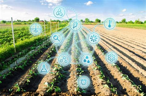 Inteligencia Artificial Y Apps Para Predecir La Producción De Cultivos
