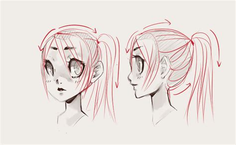How To Draw Hair Anime Ponytail Ponytail Drawing Manga Drawing