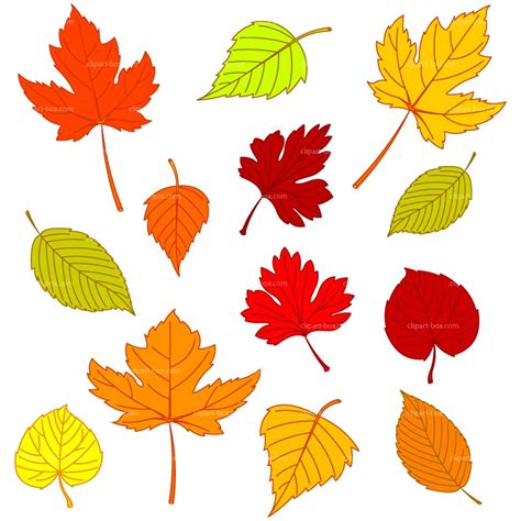 Free Autumn Leaves Cliparts Download Free Autumn Leaves Cliparts Png