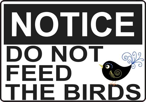 5in x 3.5in Do Not Feed The Birds Magnet Vinyl Signs Magnetic Animal
