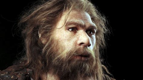 Neanderthals And Humans Interbred 100000 Years Ago Bbc News