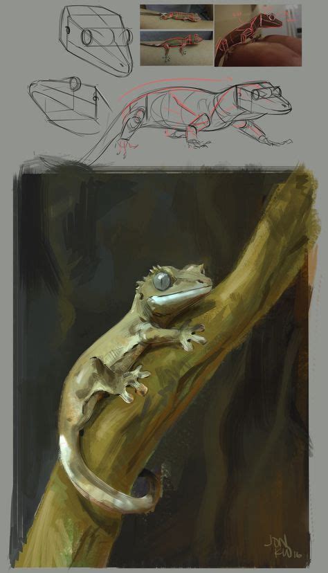 Do you drug or defang the crested gecko and king crested gecko and there are some time the debt consolidation look. ArtStation - crested gecko , Jonathan Kuo | Animal ...