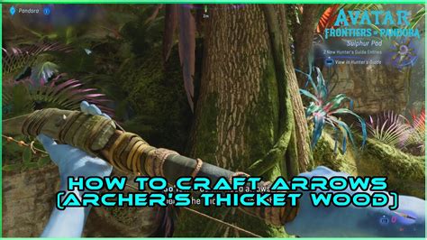 How To Craft Arrows Wood From Archers Thicket Avatar Frontiers Of