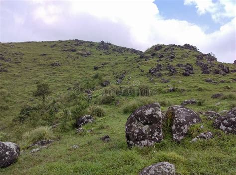 Mountain Slope And Green Meadows In Kerala Stock Image Image Of