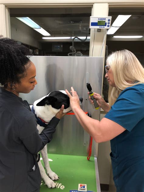 At our baton rouge petco location, you'll work with our friendly and qualified staff to help your pet thrive. BR vet clinic gets creative to serve pets and protect ...