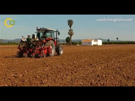 Crea una alerta de nuevas propiedades en lora del río y recibirás en tu correo las nuevas ofertas. Siembra del maíz en Lora del Río, Sevilla - YouTube