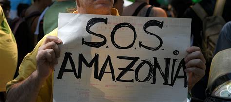 All categories deals alexa skills amazon devices amazon fashion amazon fresh amazon pantry appliances apps & games baby beauty books car & motorbike clothing & accessories collectibles computers & accessories electronics furniture garden. Alpaca, Amazzonia e animali in estinzione: i principali ...